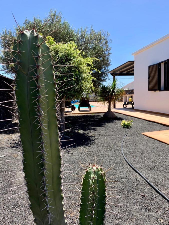 Casas Tomare Ii * San Bartolome (Las Palmas)